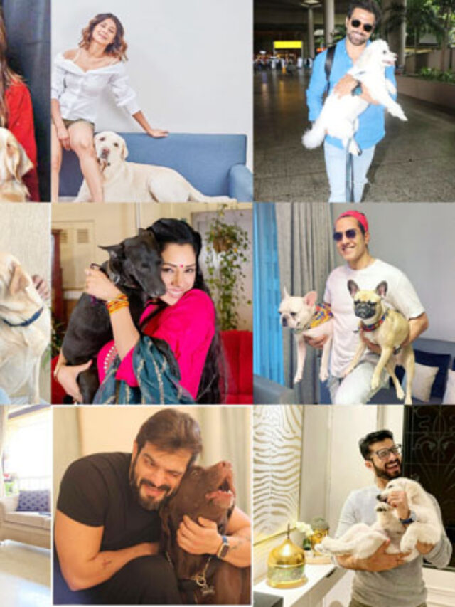 The Loving  Pet Parents from the TV Industry