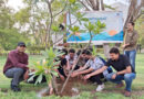 बीएमएल मुंजाल यूनिवर्सिटी ने विश्व पर्यावरण दिवस पर प्रकृति को पोषित करने के लिए देशी पेड़ लगाए